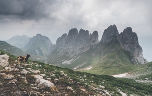 Northborn® // ihminen ja luonto